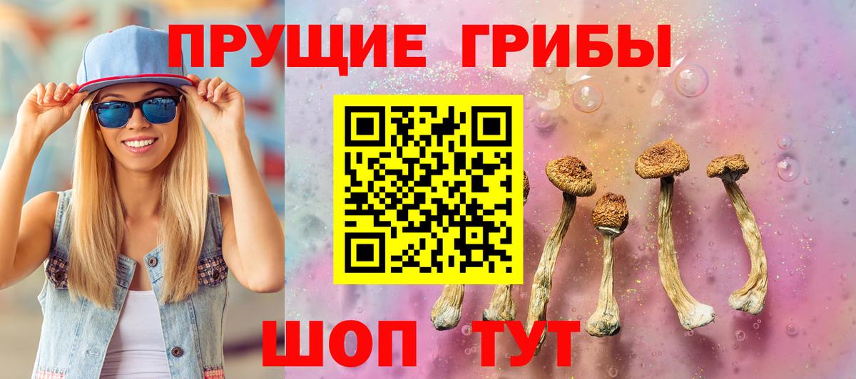 Псилоцибиновые грибы прущие грибы Звенигород