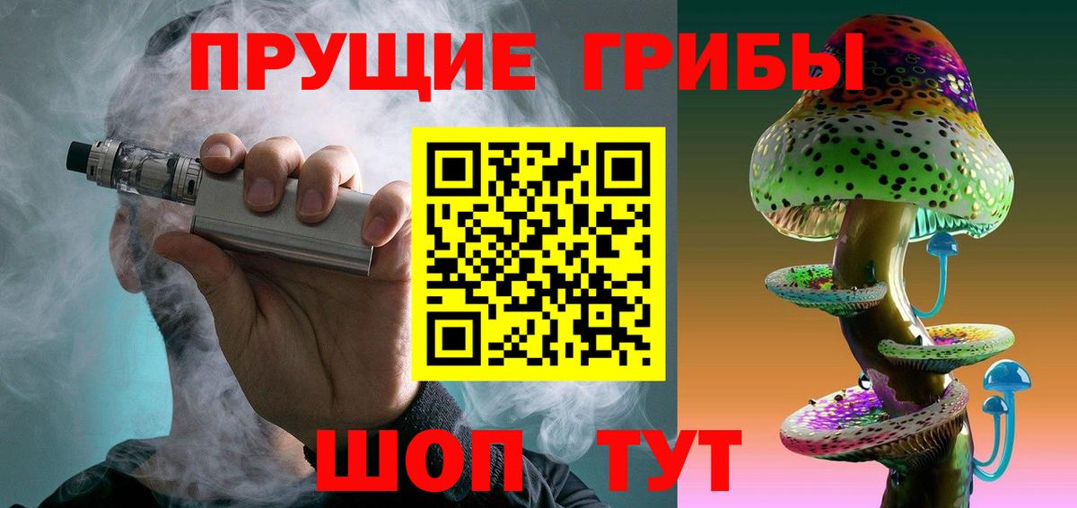 Звенигород  Псилоцибиновые грибы MAGIC MUSHROOMS  Вход с VPN 